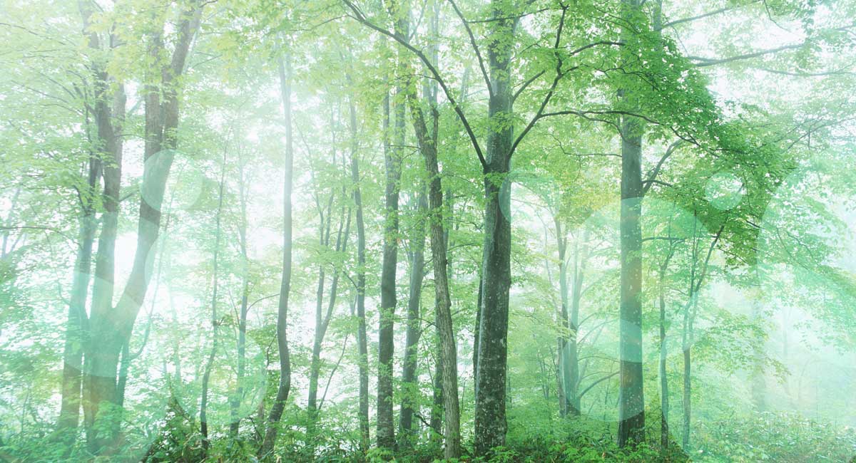 トップページイメージ